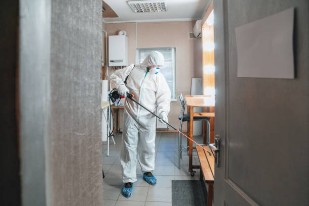 Best Environmental Consulting for Mold Prevention  in West Liberty, IA