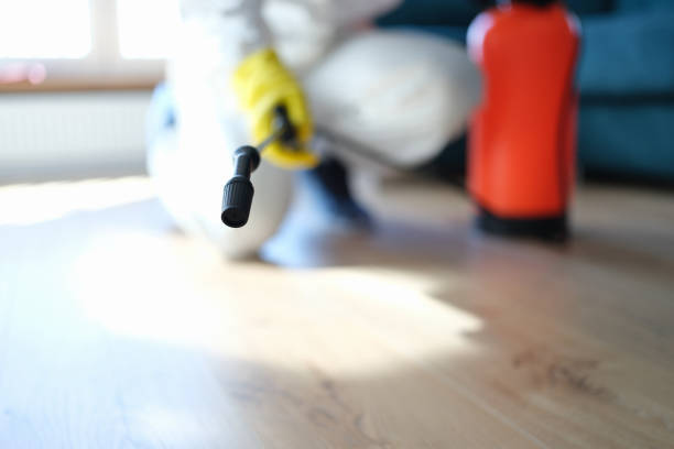 Best Basement Mold Removal  in West Liberty, IA