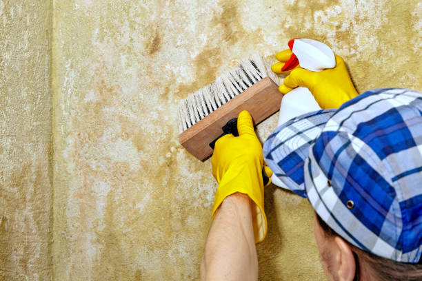 Best Indoor Air Quality Assessment  in West Liberty, IA