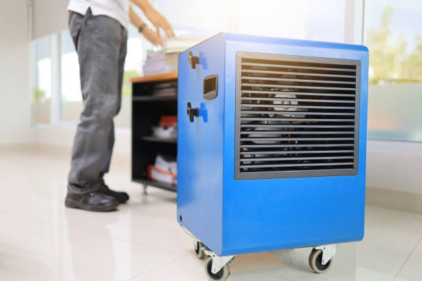 Best Attic Mold Removal  in West Liberty, IA