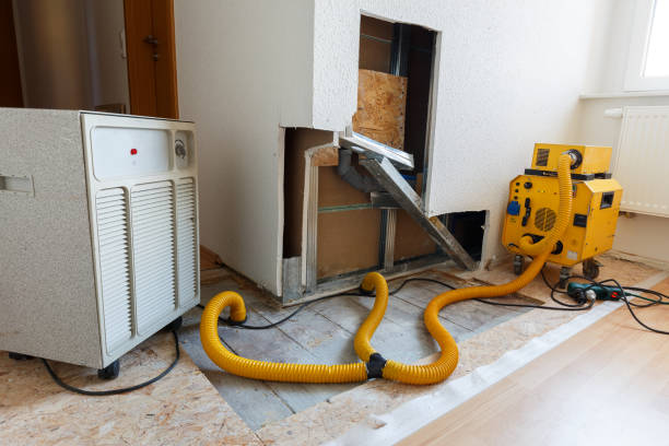 Best Industrial Mold Remediation  in West Liberty, IA