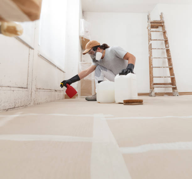 Best Mold Documentation for Insurance Claims  in West Liberty, IA