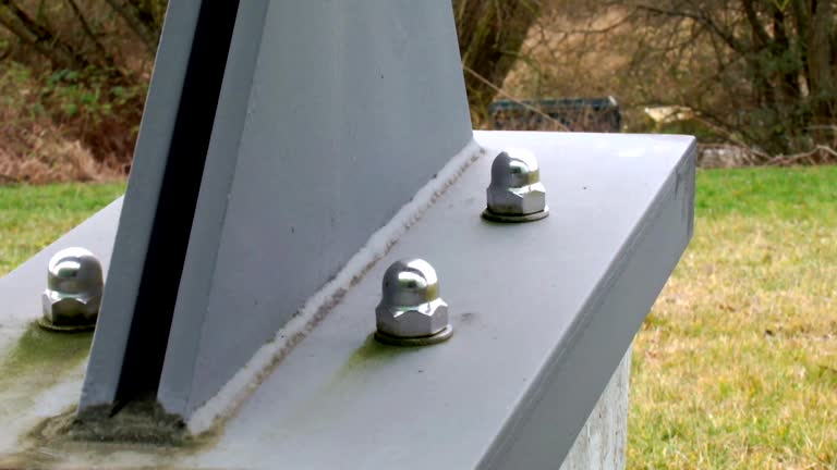 Reliable West Liberty, IA Mold Removal Solutions